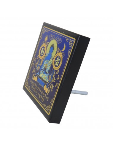 PLACA BUDA DE LA MEDICINA